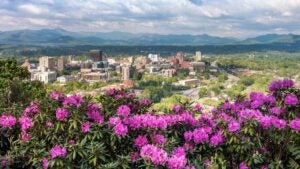 Spring time in Downtown Asheville overlooking city skyline with wild rhododendron flowers in foreground.